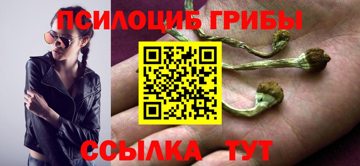 Урюпинск  Псилоцибиновые грибы Psilocybe  Вход с VPN 